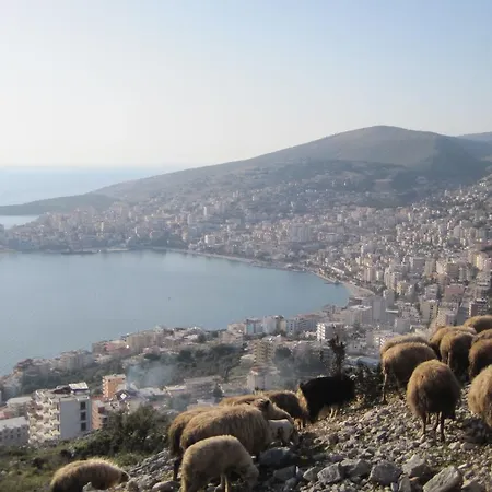 Hairy Lemon Sarande