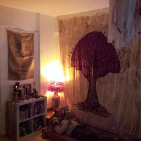 Hairy Lemon Hostel